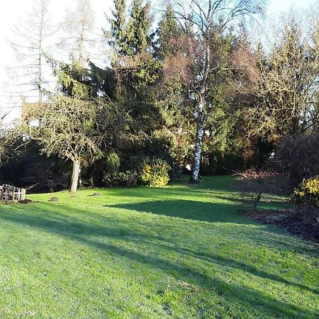 Ferienwohnung An Der Almequelle Brilon Exteriör bild