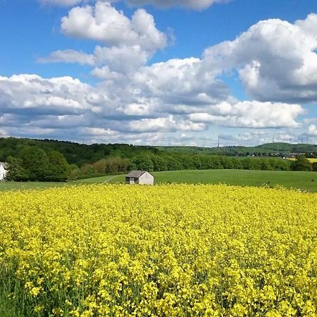 Ferienwohnung An Der Almequelle Brilon Exteriör bild
