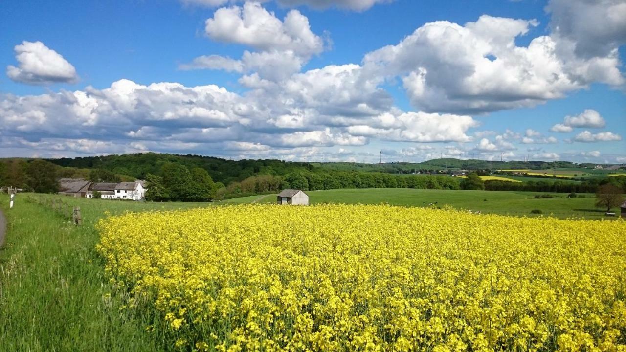 Ferienwohnung An Der Almequelle Brilon Exteriör bild